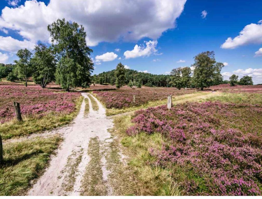 Feelslikehome - Reihenhaus Zwischen Hamburg Und Heide Mit Garten&Garage Neu Wulmstorf Eksteriør billede